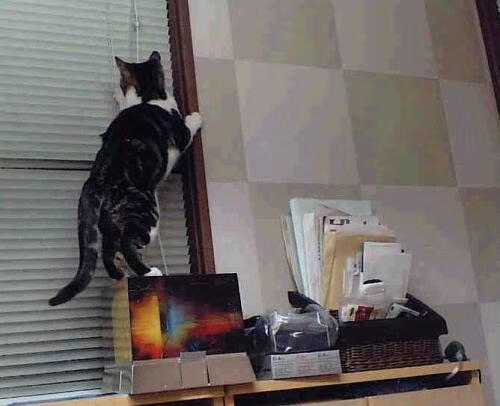 世界杯战术大爆炸:变化多端,引领足球新潮!,世界杯打仗