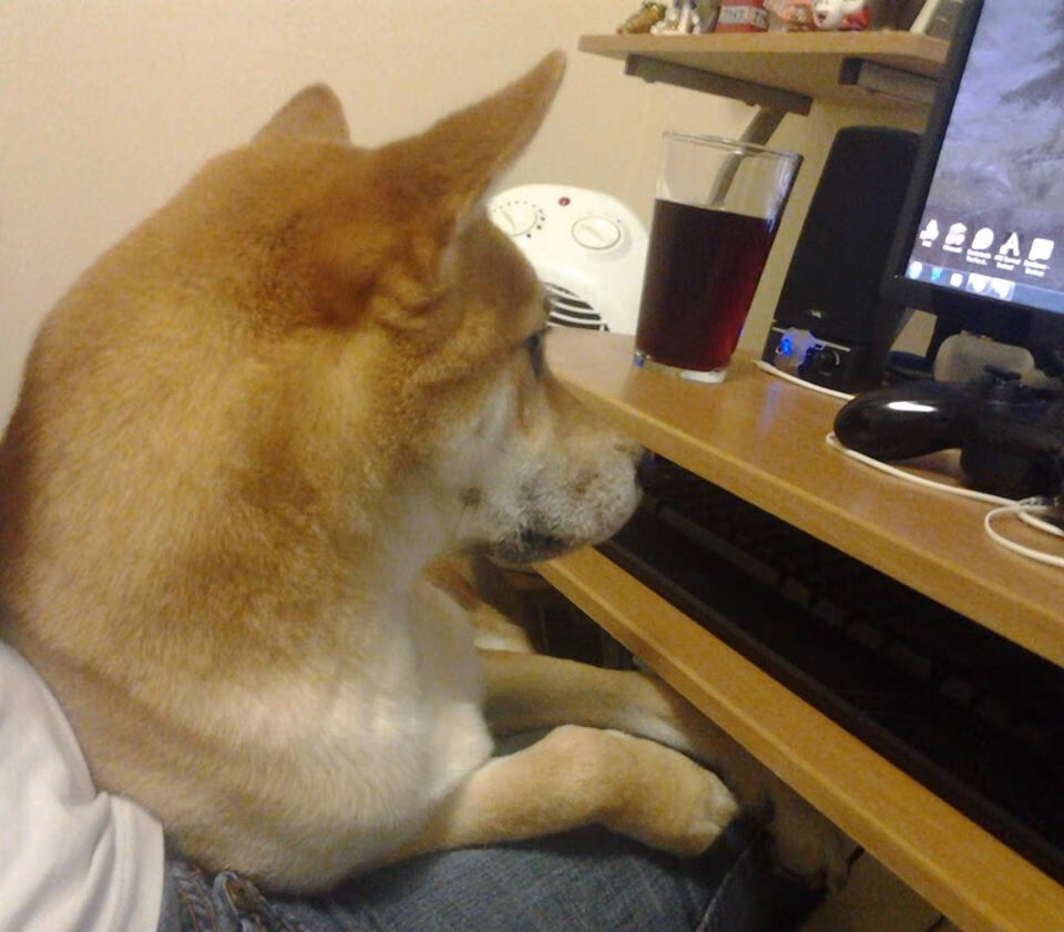 德国队在2024年世界杯赛场的关键表现与战术总结，德国球队世界杯